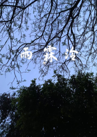 雨霖泠sc，强制嗳，前世今生