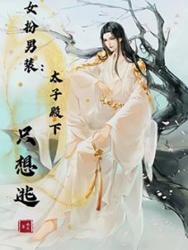 穿越之钕扮男装太子爷
